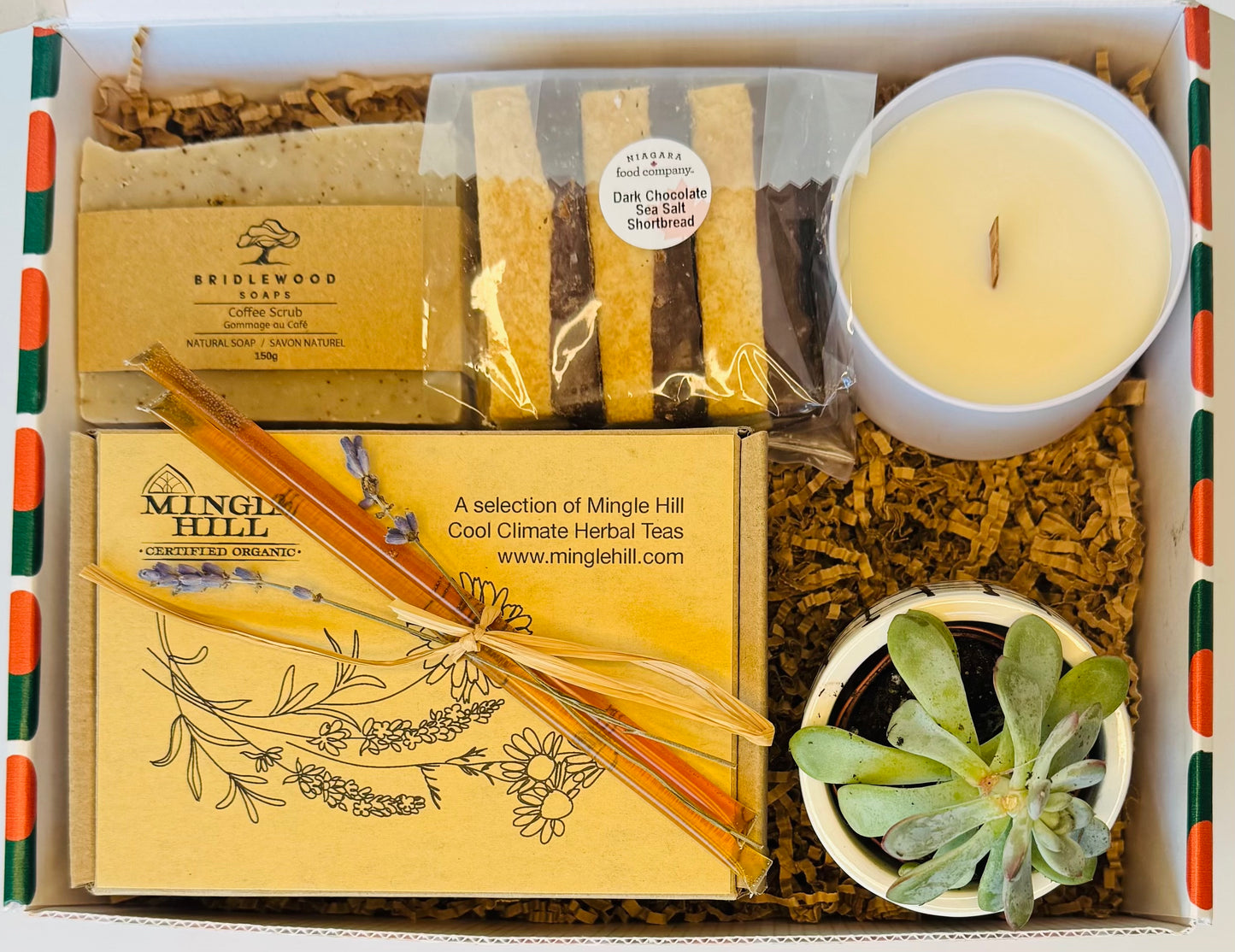The Infusion box