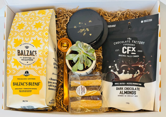 The Brew lover's Box