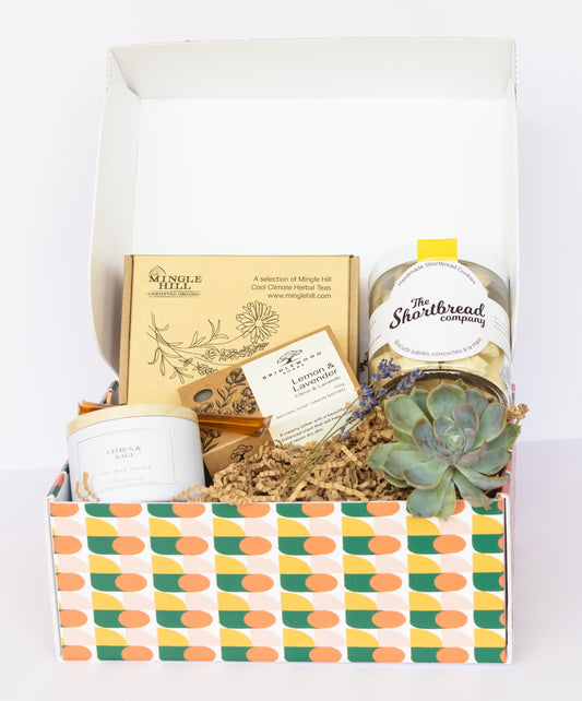 The Infusion box